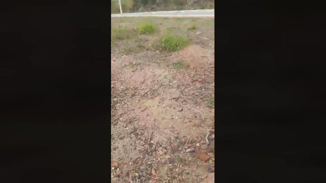 Synbaherrera  21-09-2022